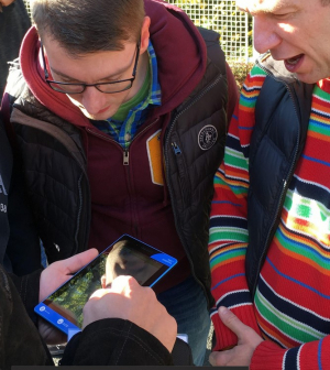 Online karácsonyozásra készülnek a cégek