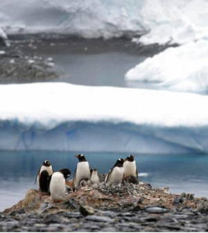 Maguk a kutatók szennyezik az Antarktiszt, a hidrogén lehet a megoldás