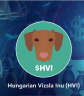 Kínai tőzsdén a vizsla