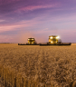 Magyar irányítás alá került a Glencore Agriculture csehországi leányvállalata
